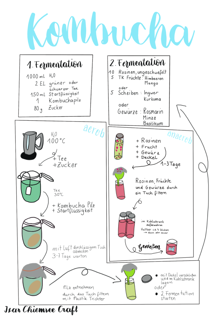 Kombucha Anleitung in Handlettering und Sketchnote Stil