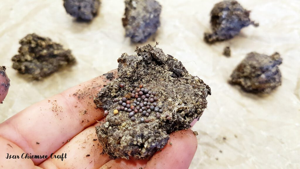 Samen auf den platt gedrückten Häufchen verteilen. Seedbomb oder Samenbomben DIY aus Bentonit selber machen